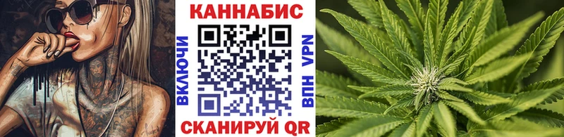 дарнет шоп  Канаш  Бошки марихуана планчик 